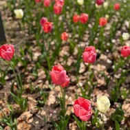 와타🐈‍⬛오늘도 감사합니다♡