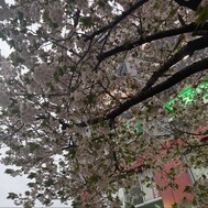 오랜만에 감사합니다 💖