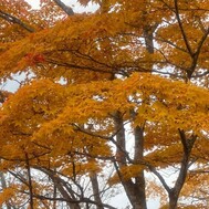 일찍 올라갔습니다.