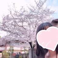 🌸벚꽃🌸