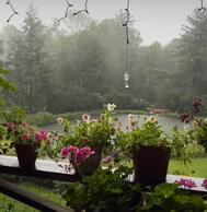 중국인유학생⁈