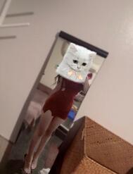 쿄는 무엇을 할까… 🥱