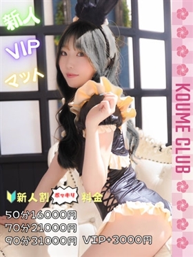 ?2월 6일 데뷔? - 히비키【VIP코스対応】