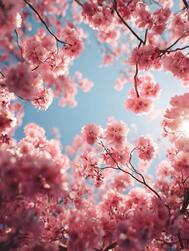 8일 21시ꕀ⋆의 O님🩷🪄