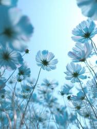 10일 19시30분ꕀ⋆의 Y님💛🪄