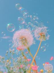 11일 22시 30분 ꕀ⋆의 Y님🩷🪄