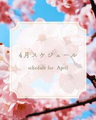 🩵 4월 일정
