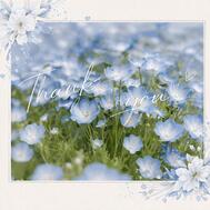 ✉ 마음이 씻겨진다…✧︎*.