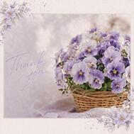 ✉ 재회의 기쁨...♡