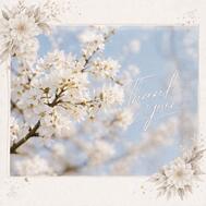 ✉ 이상한 체험