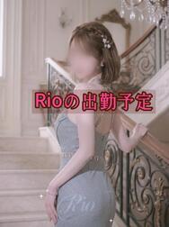 🌿🗓 출근 예정🗓🌿