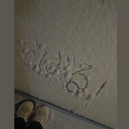 💖스바루 귀환💖