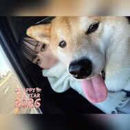 2월 출근 예정 🎂🎉