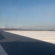 발 멈추고 있다. .