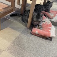 이름을 부르세요! ️