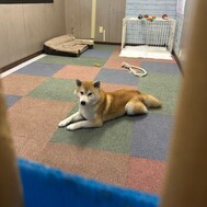 고맙습니다. 🫶🏻