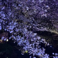 𝜗𝜚.˚⋆𝜗𝜚.˚⋆𐔌՞ 졸 .ˬ.