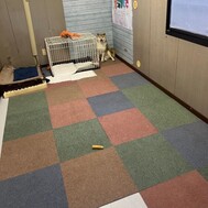 개와 친해지는 방법