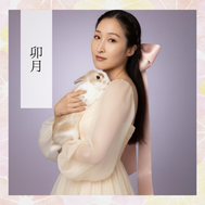 토끼처럼 도약하고 싶다 🐇