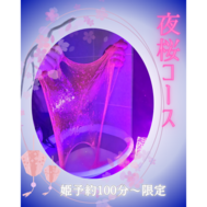 밤 벚꽃 칠라 보여 🩷