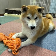 감사합니다 🙇🏻‍♀️💓