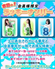 🌸🎀 매일 즐기세요 🎀🌸