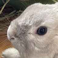 사우나 가고 싶다.