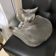 오늘도 감사합니다!