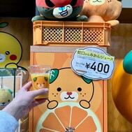 귀가 ⭐︎ 감사합니다!