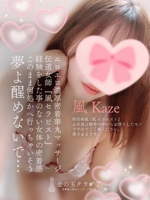 고환코스만 지원직원 - 風 kaze