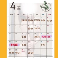 🗓 4월의스케줄