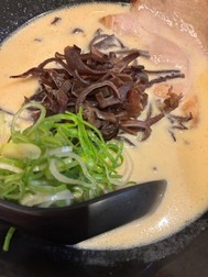충전 🔥