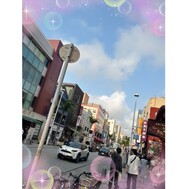 병아리 ✌️