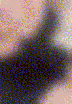 전나무 전나무( ˶'-'˶)