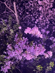 즐거움💭💕
