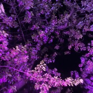 はるかです♩