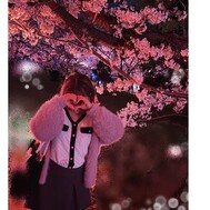 밤벚꽃🌸✨️