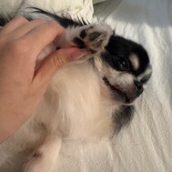 퇴근!