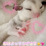 아마?