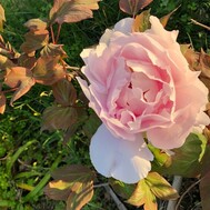 1월 25일 19시경 75분의 오빠에