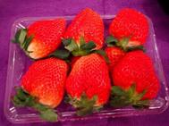 감사합니다🍓