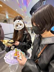 오호보호보호보호(ෆ`ᵕ´ෆ)