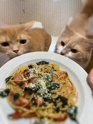 안주방👩🏻‍🍳