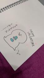 🍫 공지가 아 아 아 아 아! 🍫