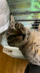 출근하고 있습니다.