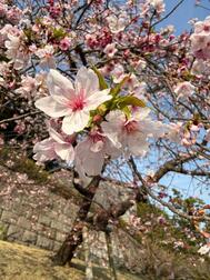 🩵봄의 냄새🌸