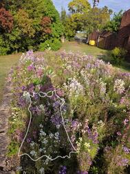 "원피스는 최강의 전투복"