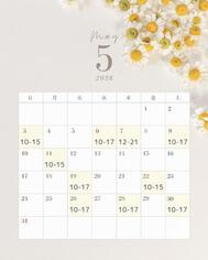 〖Schedule〗