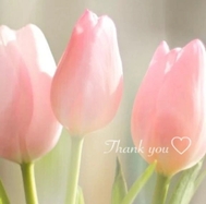 3/15 16:00의 책 지명님에게 💗