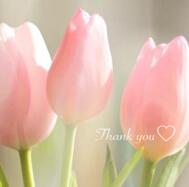 감사 💐2/28 17:30의 신사님께♡